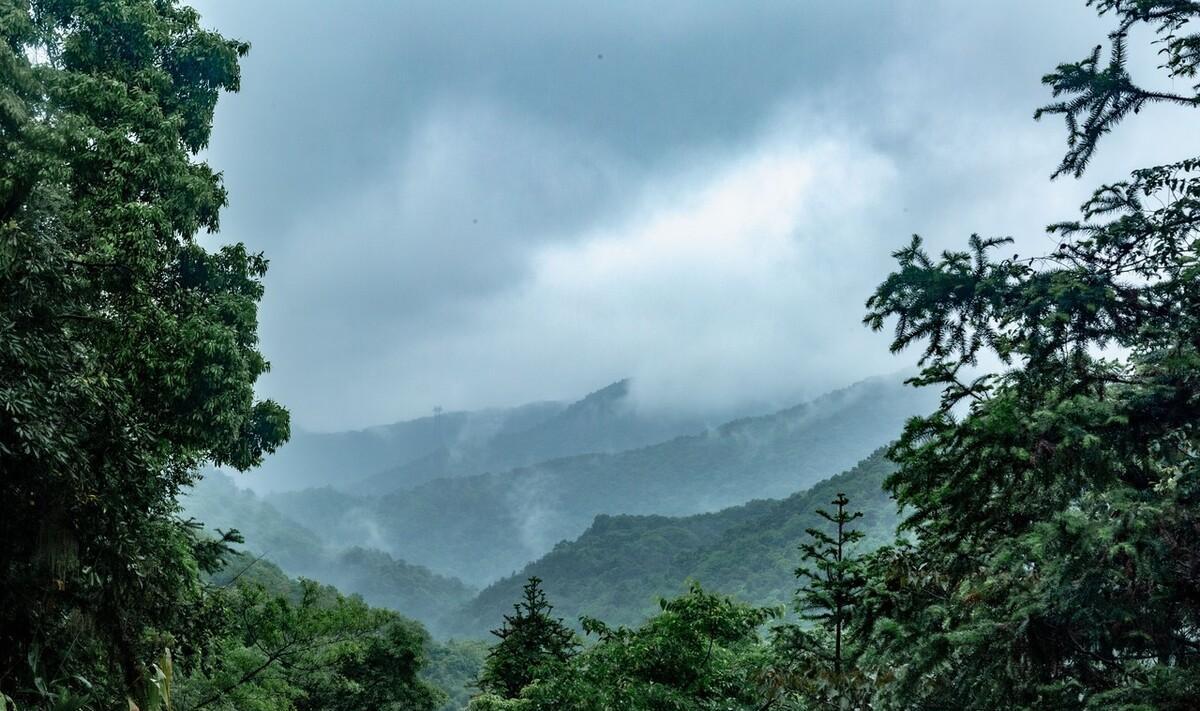 初夏雨水的诗（初夏雨季的诗句）