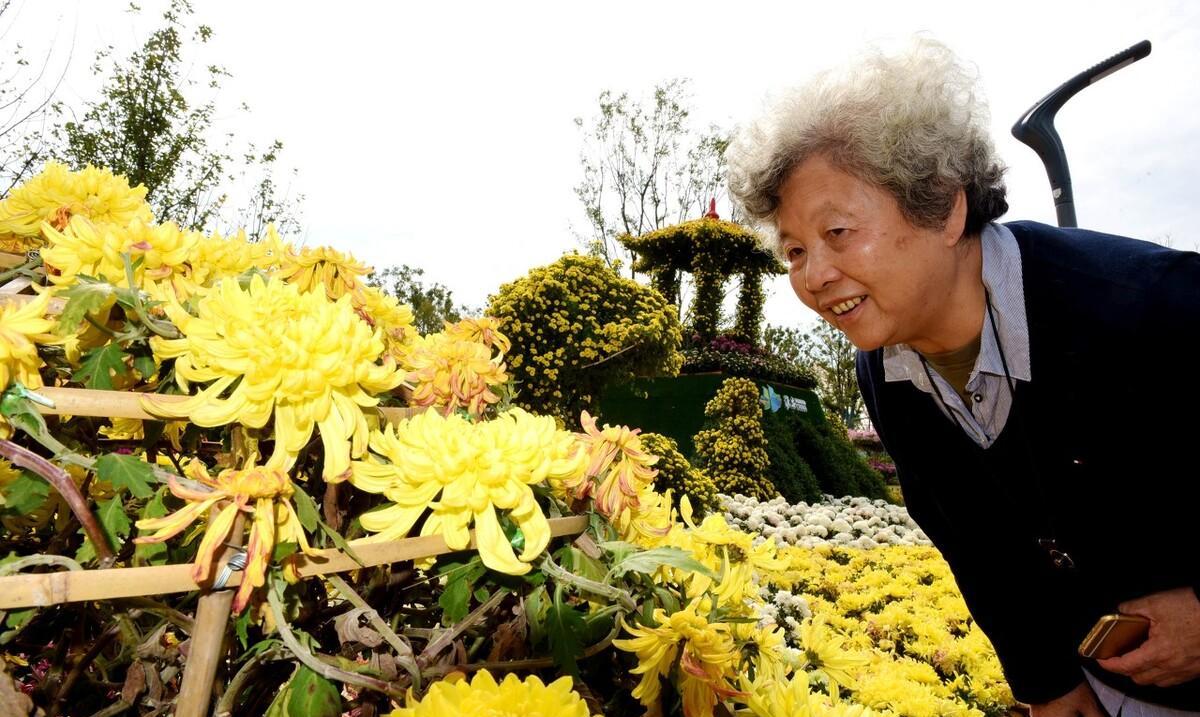 重阳节古诗词10首（有关重阳节的诗句古诗大全）