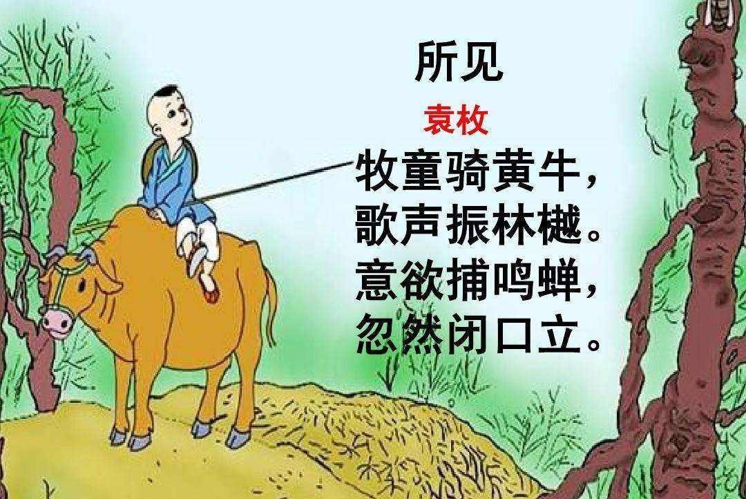 关于童年往事的诗句（描写童年趣事的优美诗句）