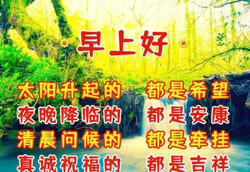 问候早上好的暖心句子（早安祝福语最温馨的话亲人朋友）