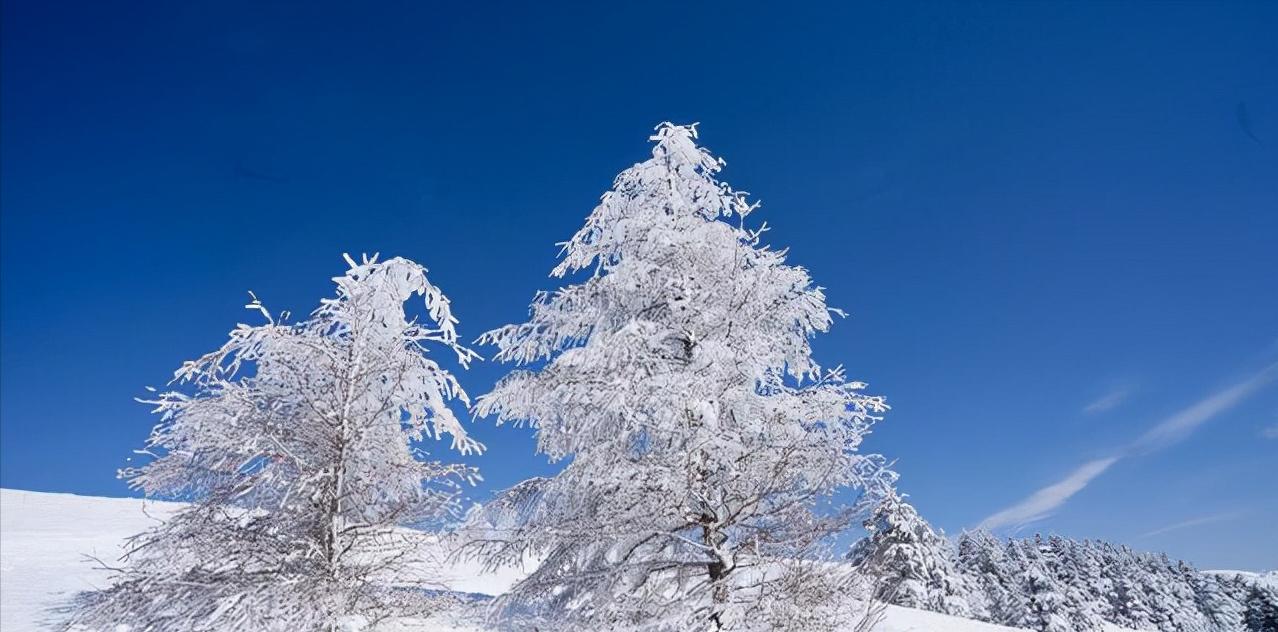 柳宗元江雪古诗赏析（柳宗元江雪原文）