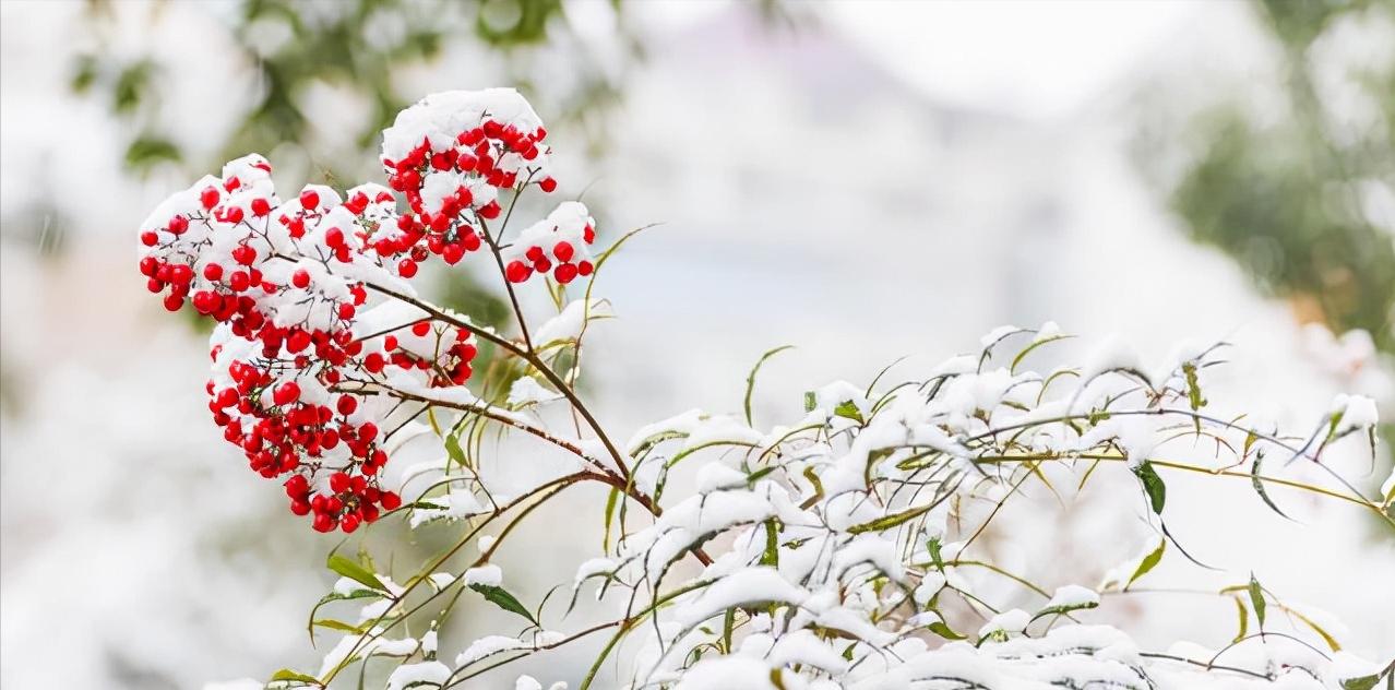 柳宗元江雪古诗赏析（柳宗元江雪原文）