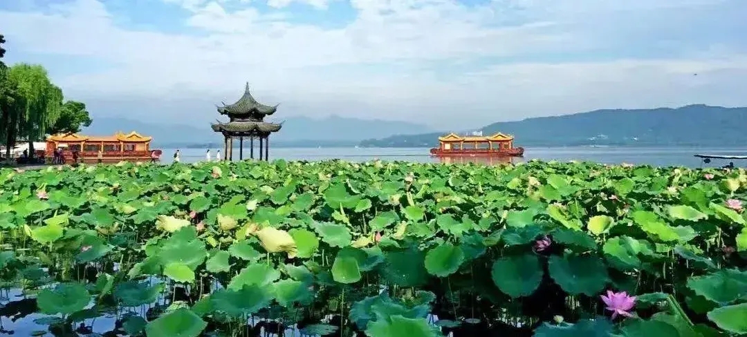 饮湖上初晴后雨 古诗教学设计（《饮湖上初晴后雨》优秀教案）