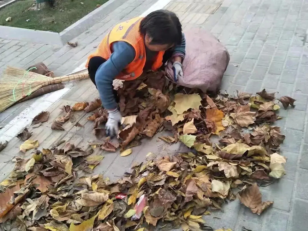 歌颂环卫工人的歌（写给环卫工人的赞歌有哪些）