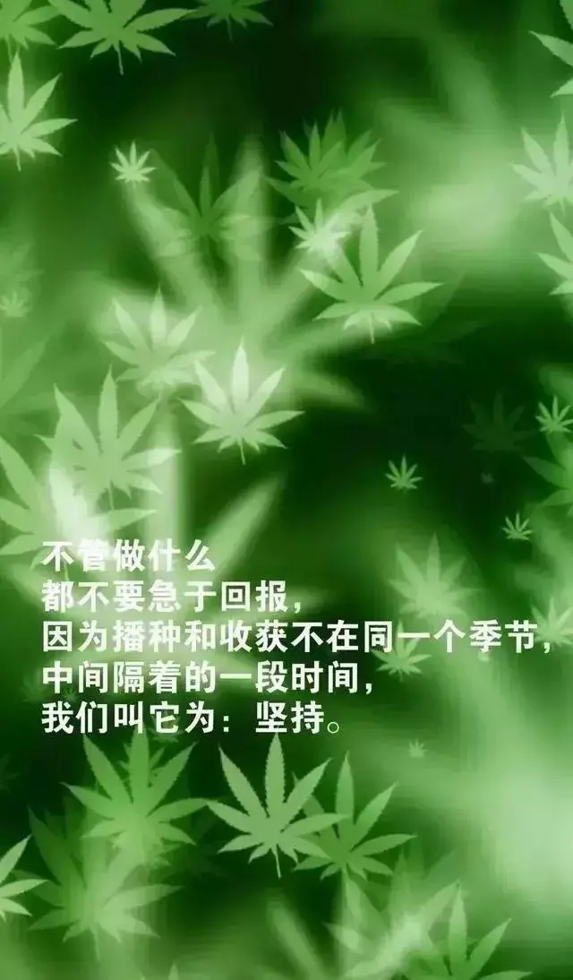 关于努力奋斗的早安语（努力奋斗的早安语录）