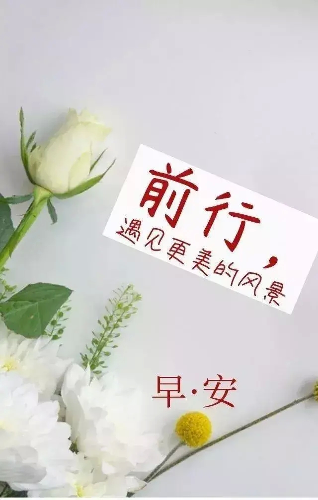 关于努力奋斗的早安语（努力奋斗的早安语录）