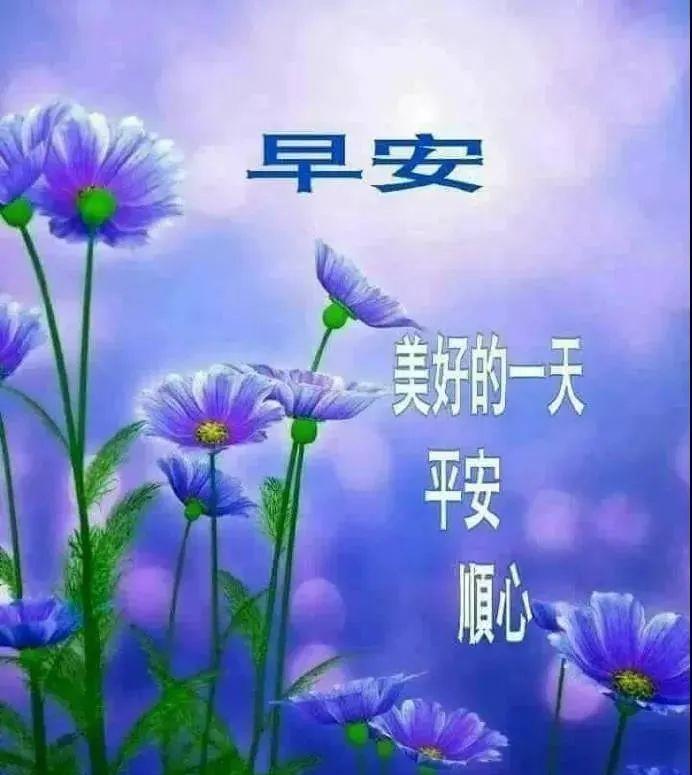 每天一句正能量的句子（充满阳光正能量的句子）