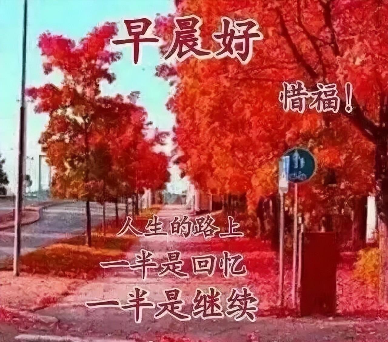 每天一句正能量的句子（充满阳光正能量的句子）