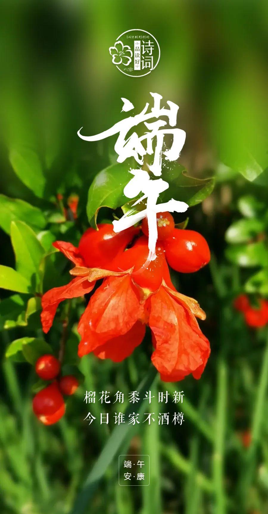 关于端午节的诗句（端午节祝福图片带字唯美图）