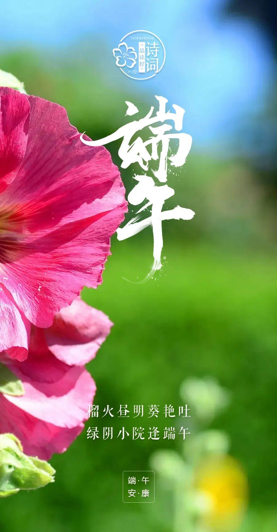 关于端午节的诗句（端午节祝福图片带字唯美图）