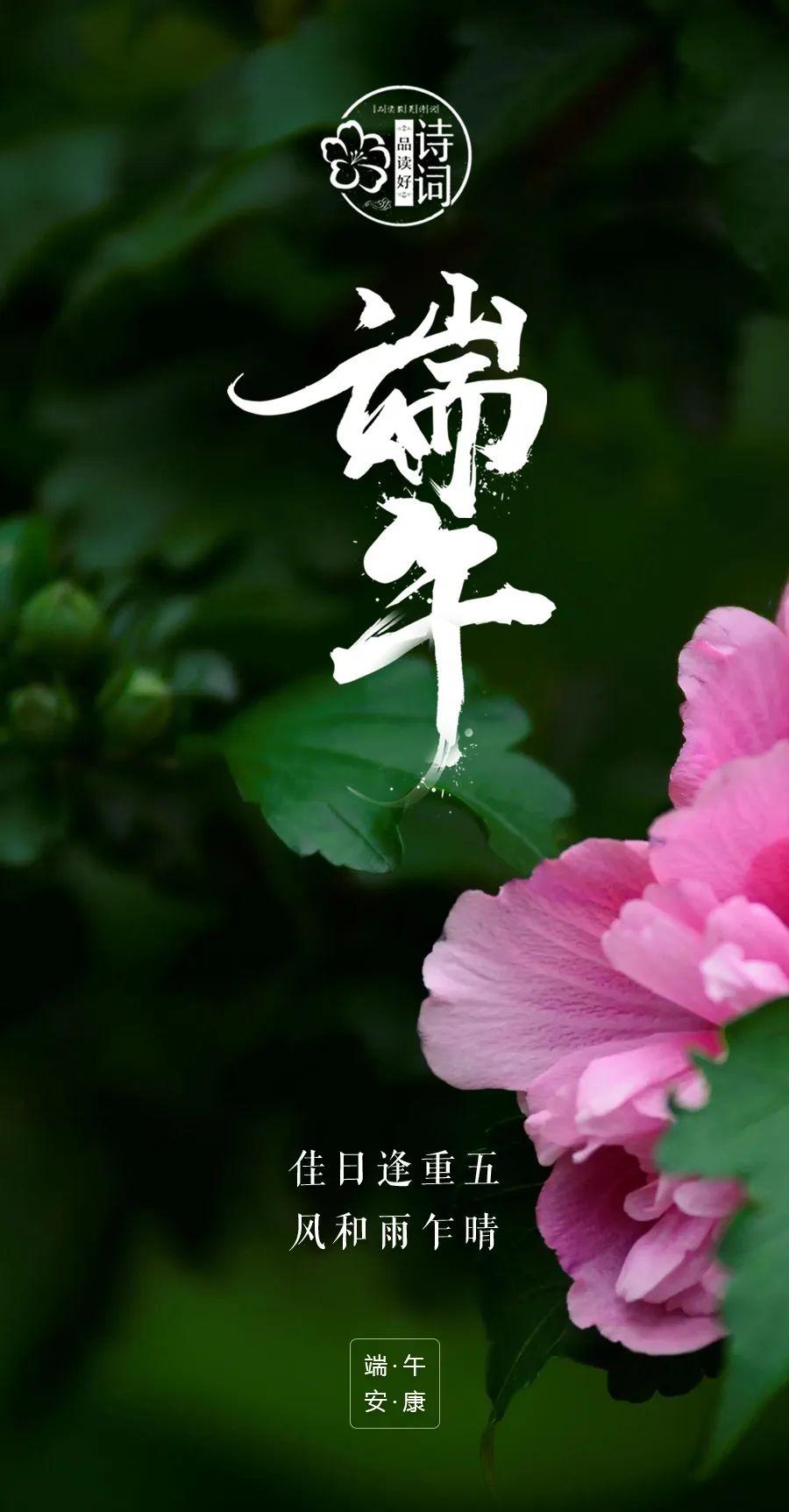 关于端午节的诗句（端午节祝福图片带字唯美图）