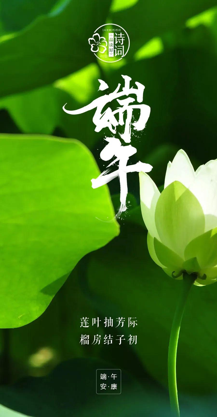 关于端午节的诗句（端午节祝福图片带字唯美图）