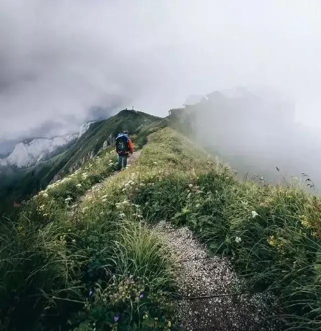 拼搏个性签名励志语录简短（积极励志个性签名）