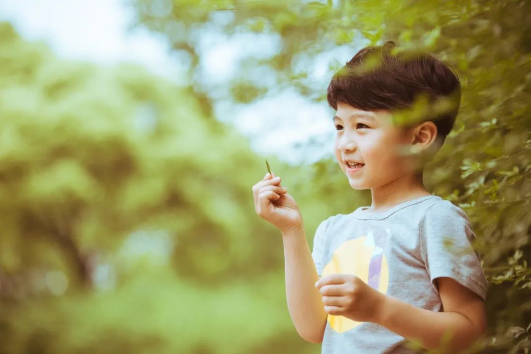 感悟人生的经典诗句（对人生感悟经典句子和诗词）