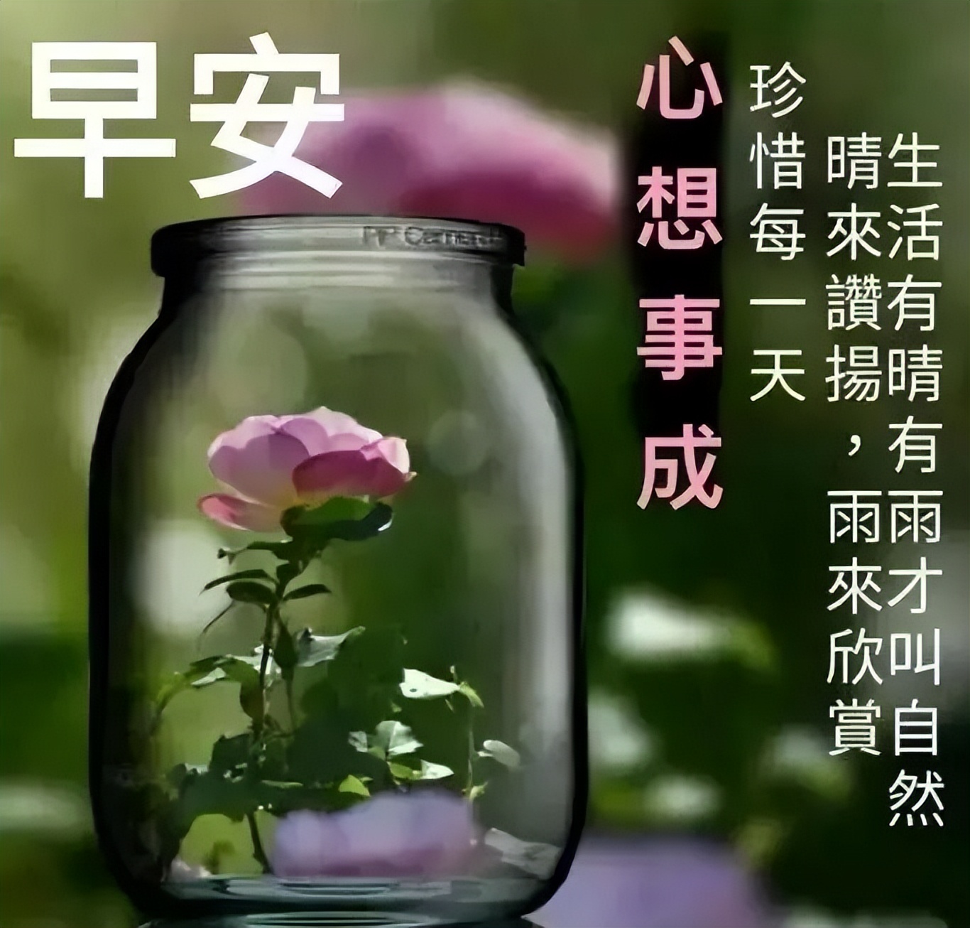 发微信群的早上好祝福语句（早上好群发祝福语温馨图片）