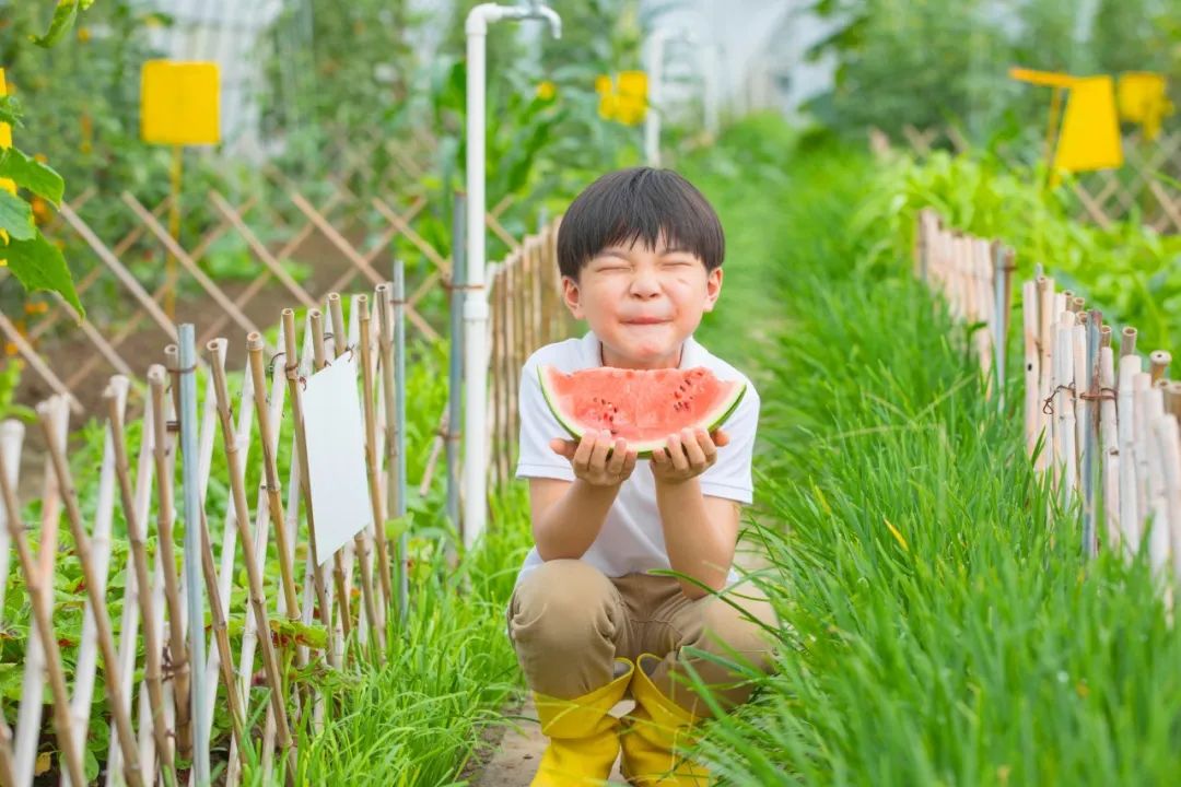 喜欢夏天的诗词（关于夏天的古诗句）