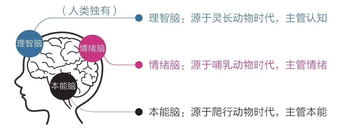 农夫与蛇这个故事告诉我（《农夫和蛇》故事新解）