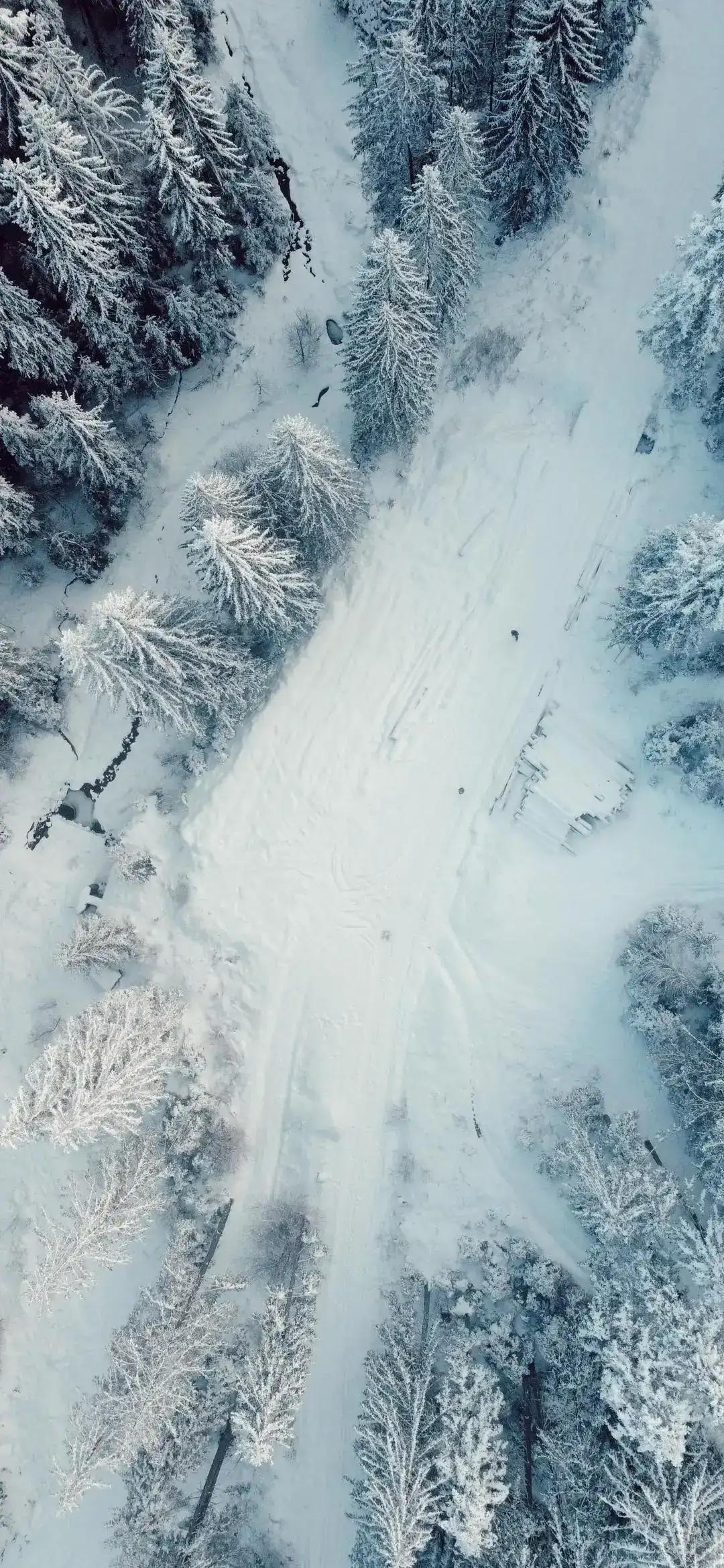 赞美雪的诗句（关于雪的诗句著名）