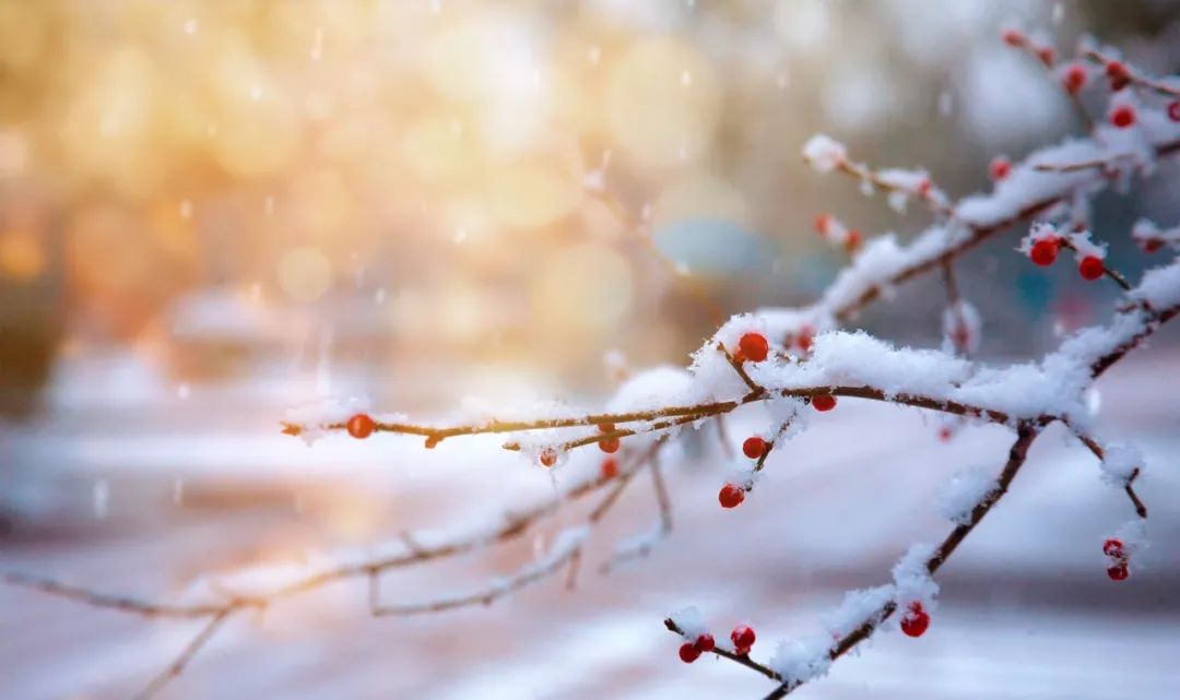 春雪的诗句古诗大全（有关春雪的诗）