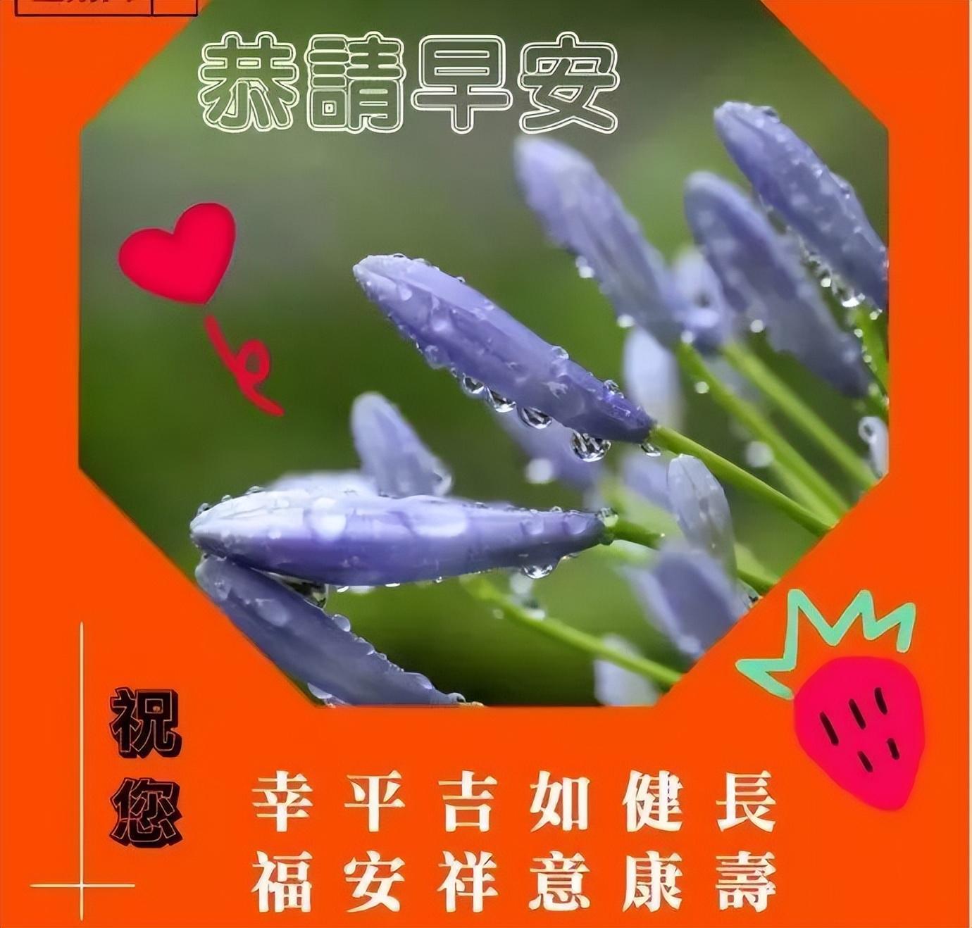 早晨发朋友圈正能量的暖心句子（早上好正能量说说朋友圈短句）