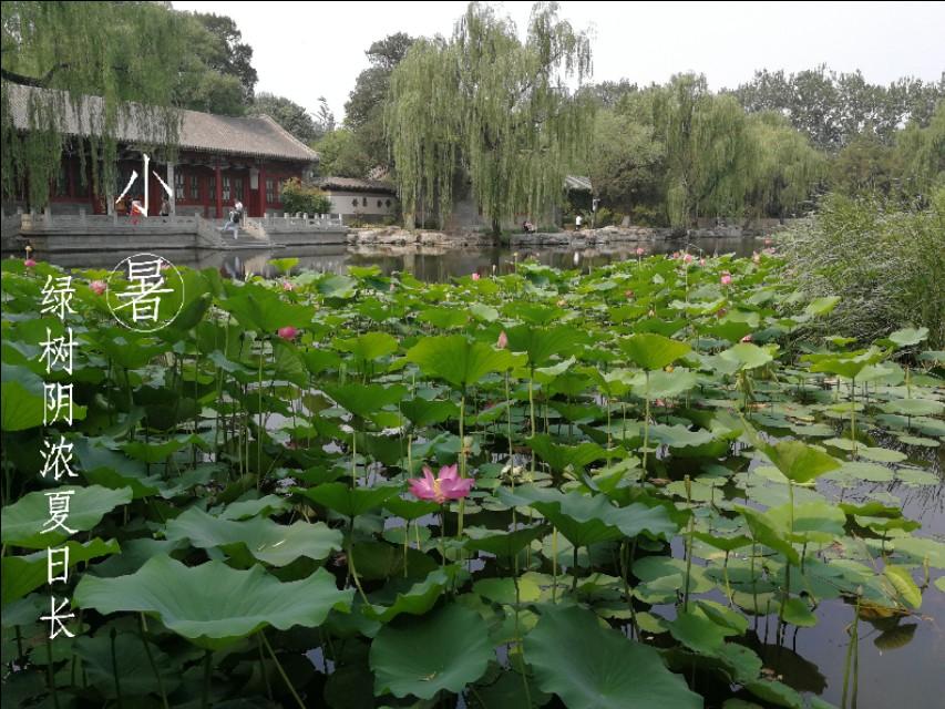 入伏时节的诗词美文（盛夏消暑经典古诗）