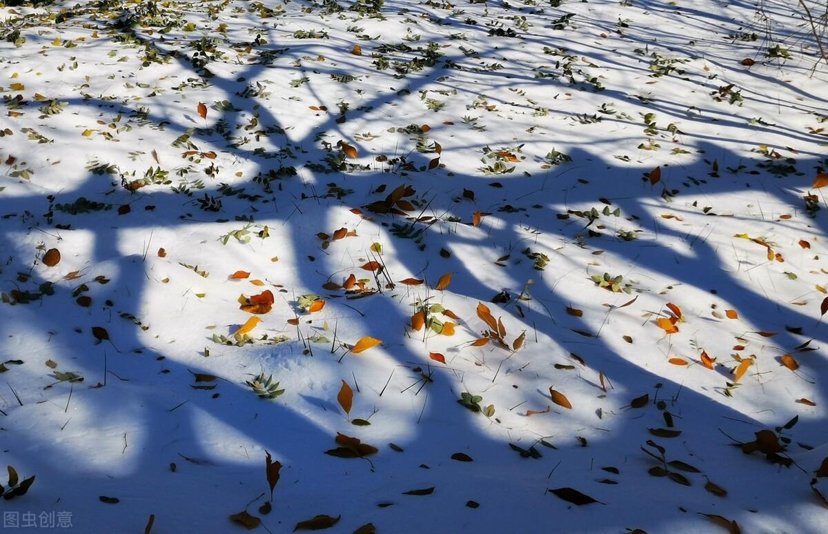 冬天下大雪的文案（立冬的文案句子）