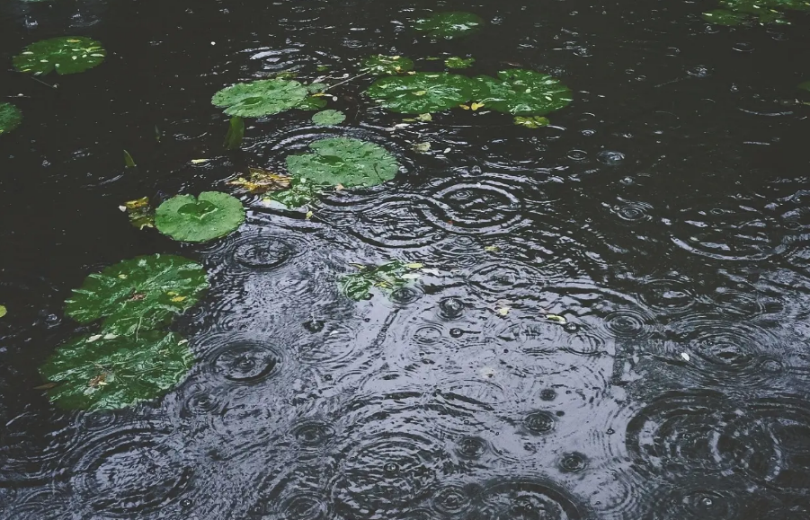 形容夏天滂沱大雨的诗句（描述大雨磅礴的诗句）