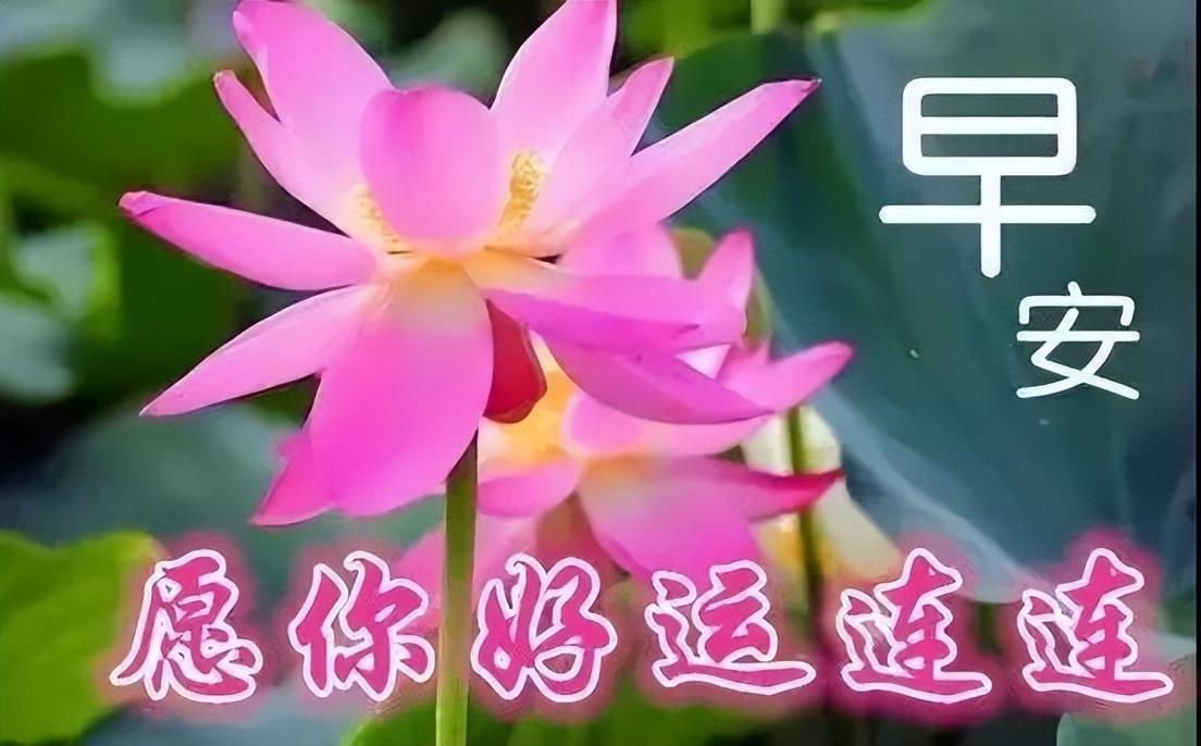 微信群早晨好祝福语（早上好群发祝福语温馨图片）