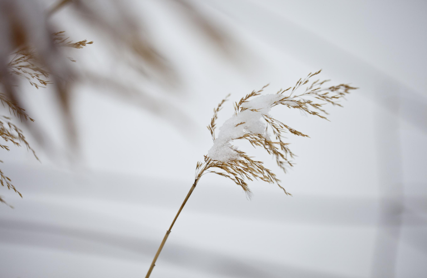 古代咏雪的诗词大全（咏小雪节气的古诗词）