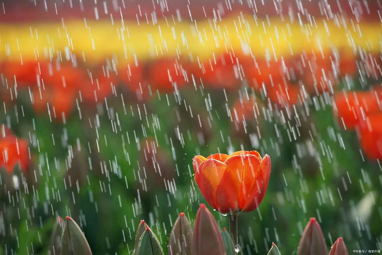 下雨天的心情不好的说说（表示下雨天心情不好的句子说说）