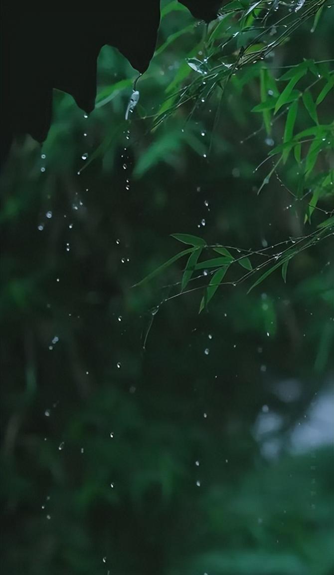 形容夏天滂沱大雨的诗句（描述大雨磅礴的诗句）