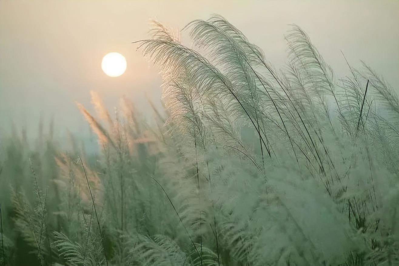 秋天最美最美的10个瞬间（初秋最美的风景）