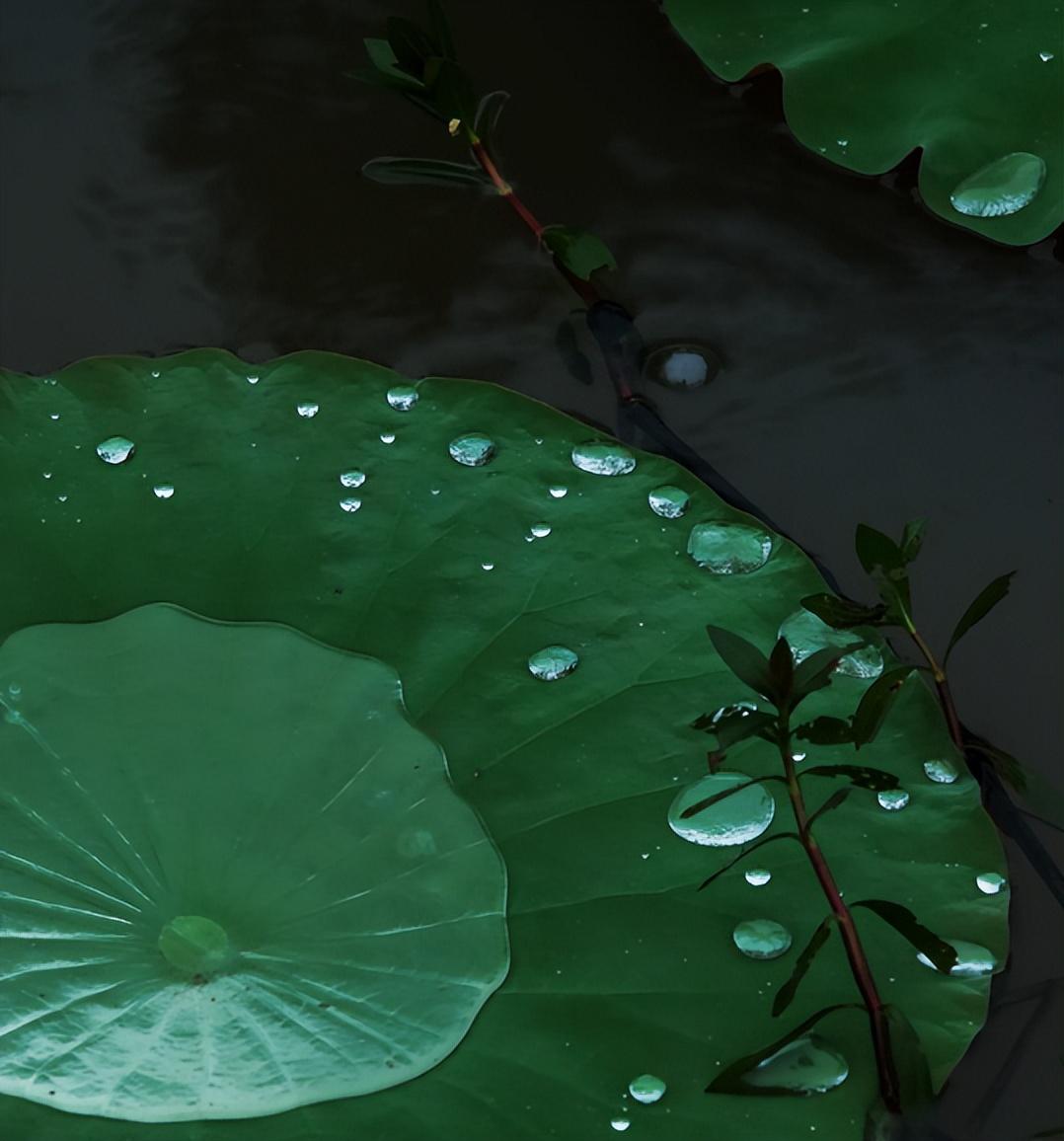 形容夏天滂沱大雨的诗句（描述大雨磅礴的诗句）