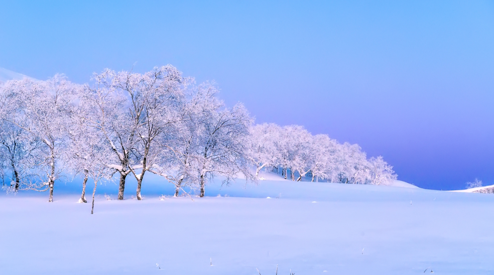 古代咏雪的诗词大全（咏小雪节气的古诗词）