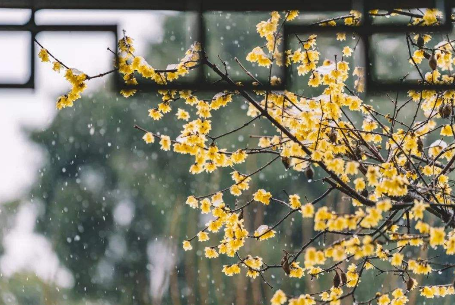 祝万家和，千家乐，百家安（春节吟15首）