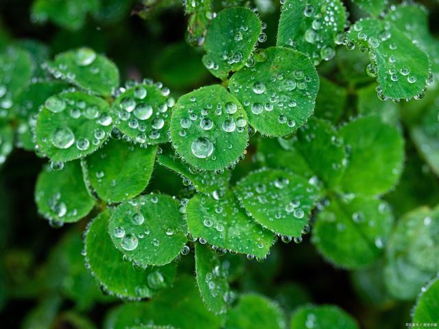 下雨天的心情不好的说说（表示下雨天心情不好的句子说说）