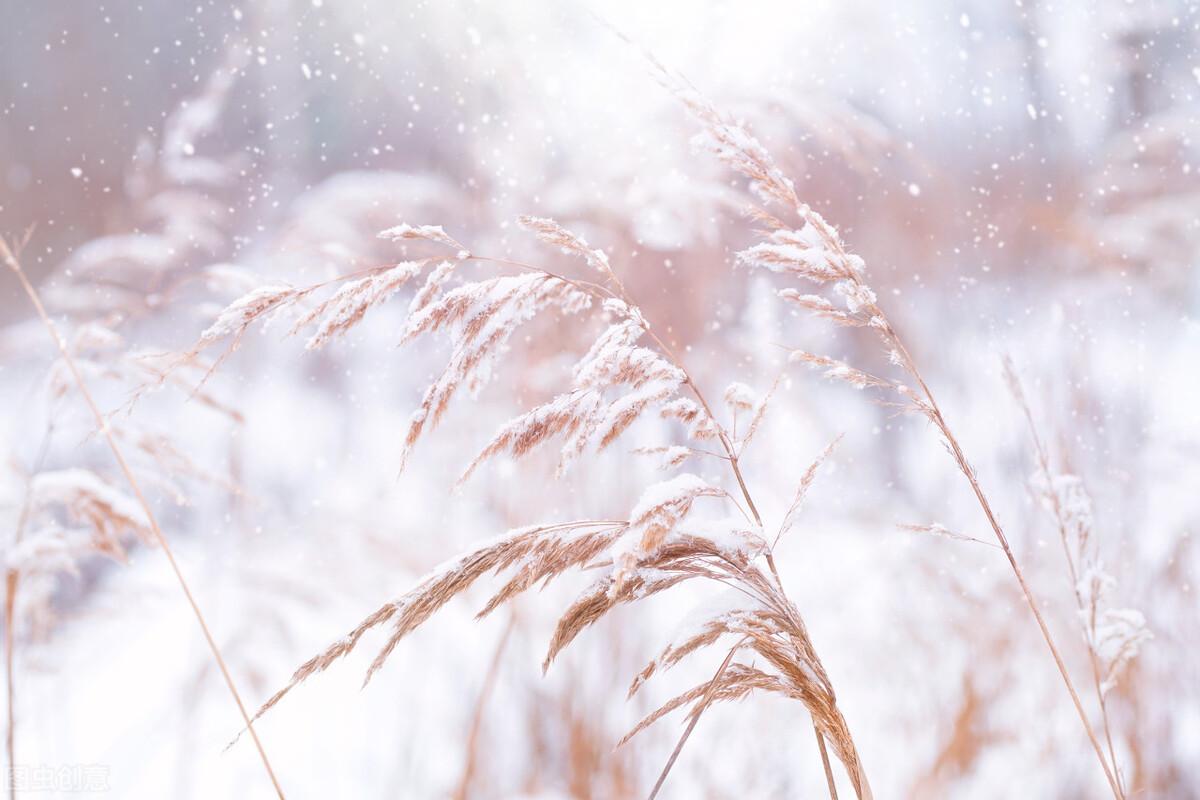 冬天下大雪的文案（立冬的文案句子）