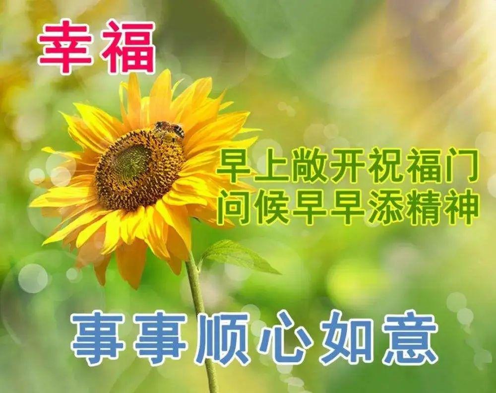 快乐每一天,早安天天见（早上问安的句子）