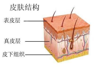 运动出汗对皮肤的影响（运动出汗皮肤会变好吗 需要注意什么）