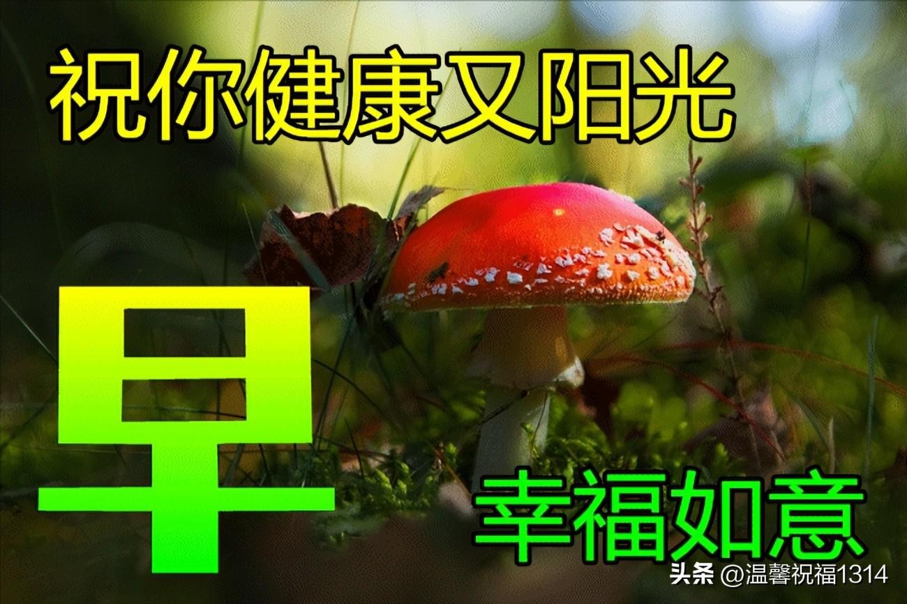 早上好动态问候语温馨短句图片（早安问候语精美 早上好的句子带图片）