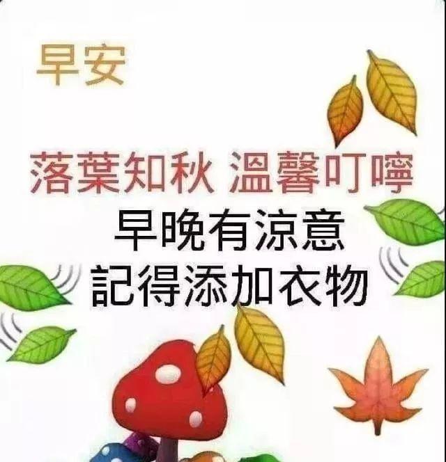 微信早晨最暖心的问候语（微信早安暖心的问候祝福短信）