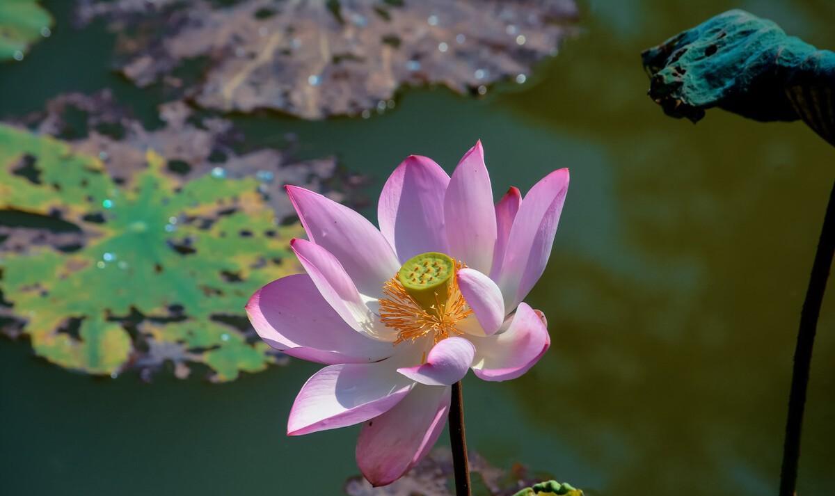 失败感悟及心得短句（对于失败的感悟）