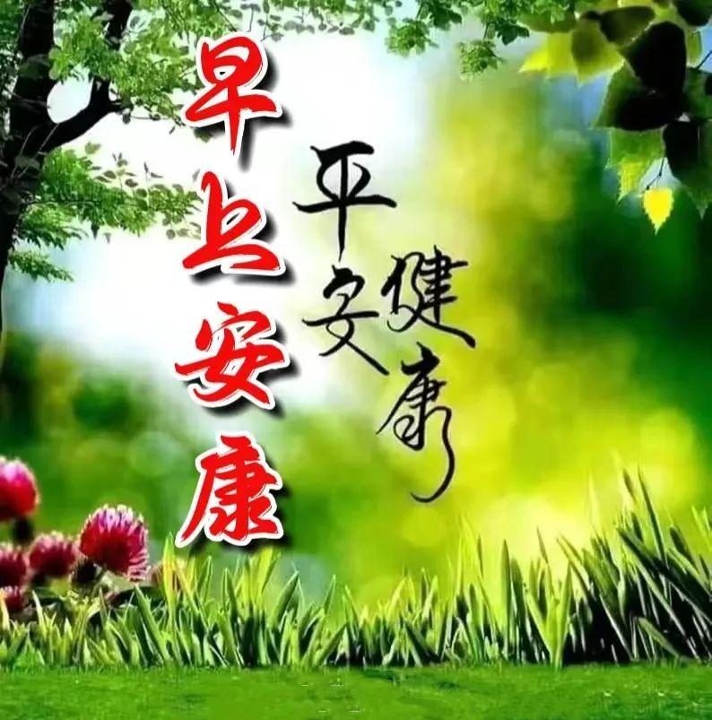 初冬季节问候亲友早上好精美句子（冬日早安问候祝福句子）