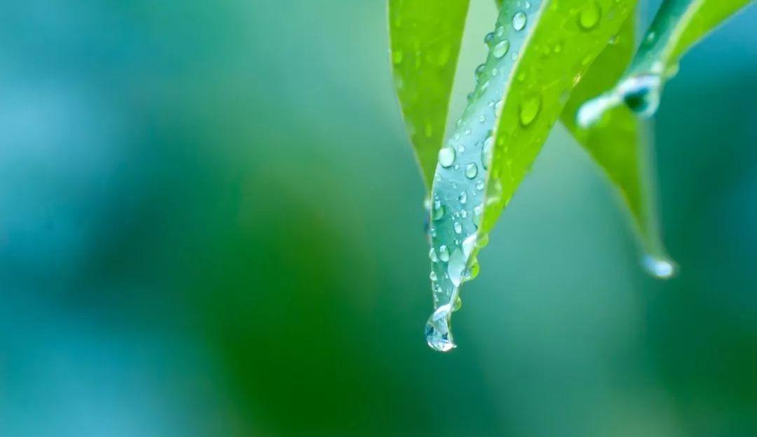 关于夏雨的优美诗句（夏雨清凉的诗句）