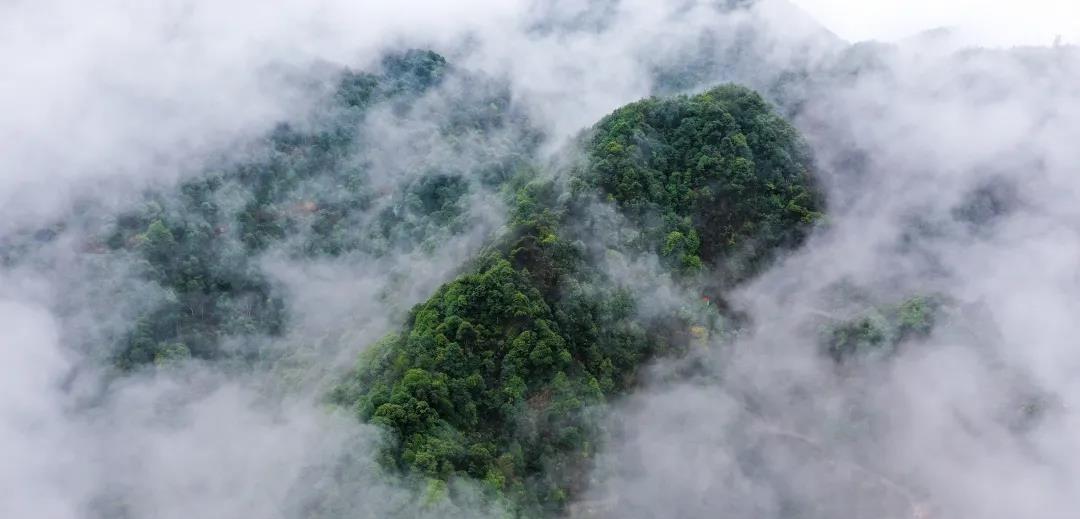 春天江西的风景优美（写江西的美景）