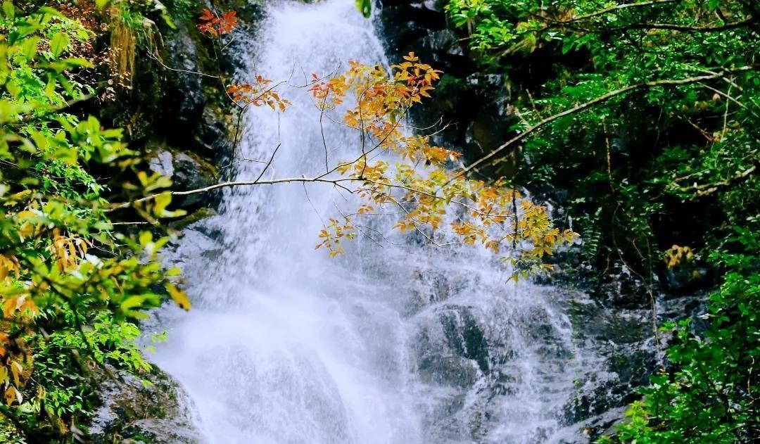 春天江西的风景优美（写江西的美景）