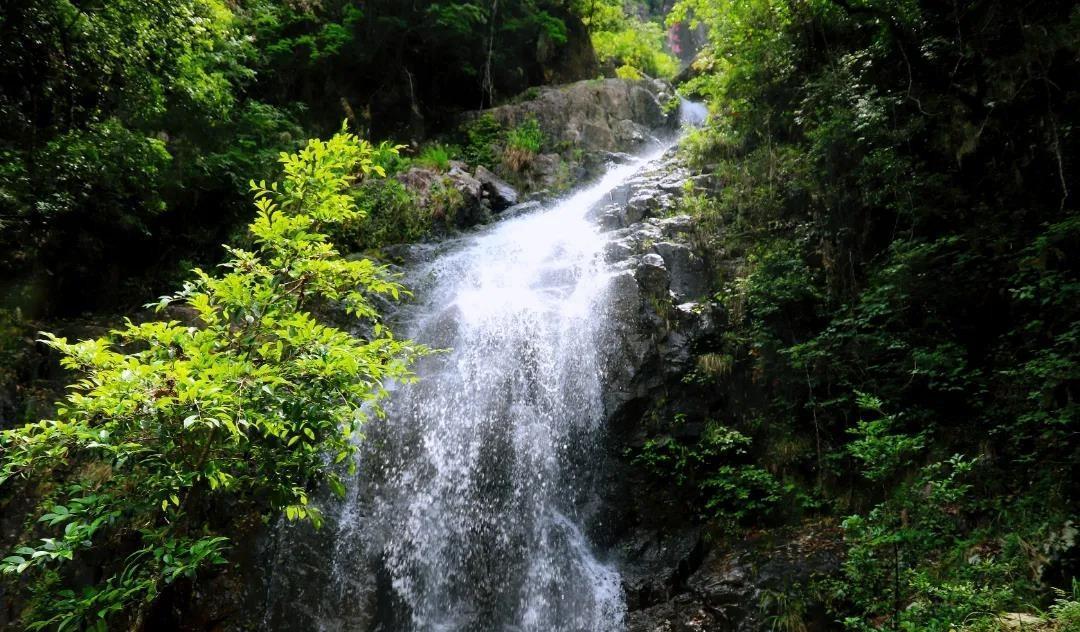 春天江西的风景优美（写江西的美景）