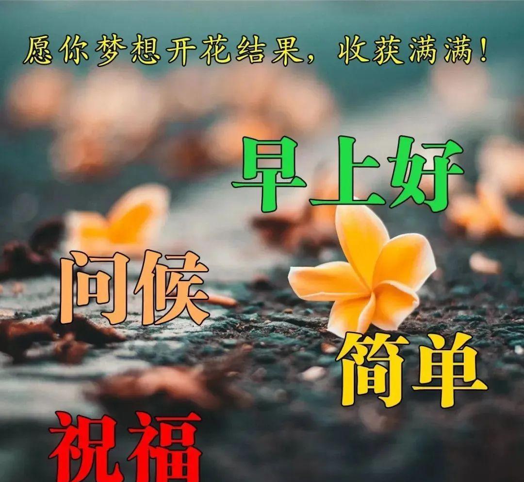 早上励志语录发朋友圈（关于早上问候发朋友圈的句子）