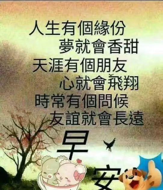 早上励志语录发朋友圈（关于早上问候发朋友圈的句子）