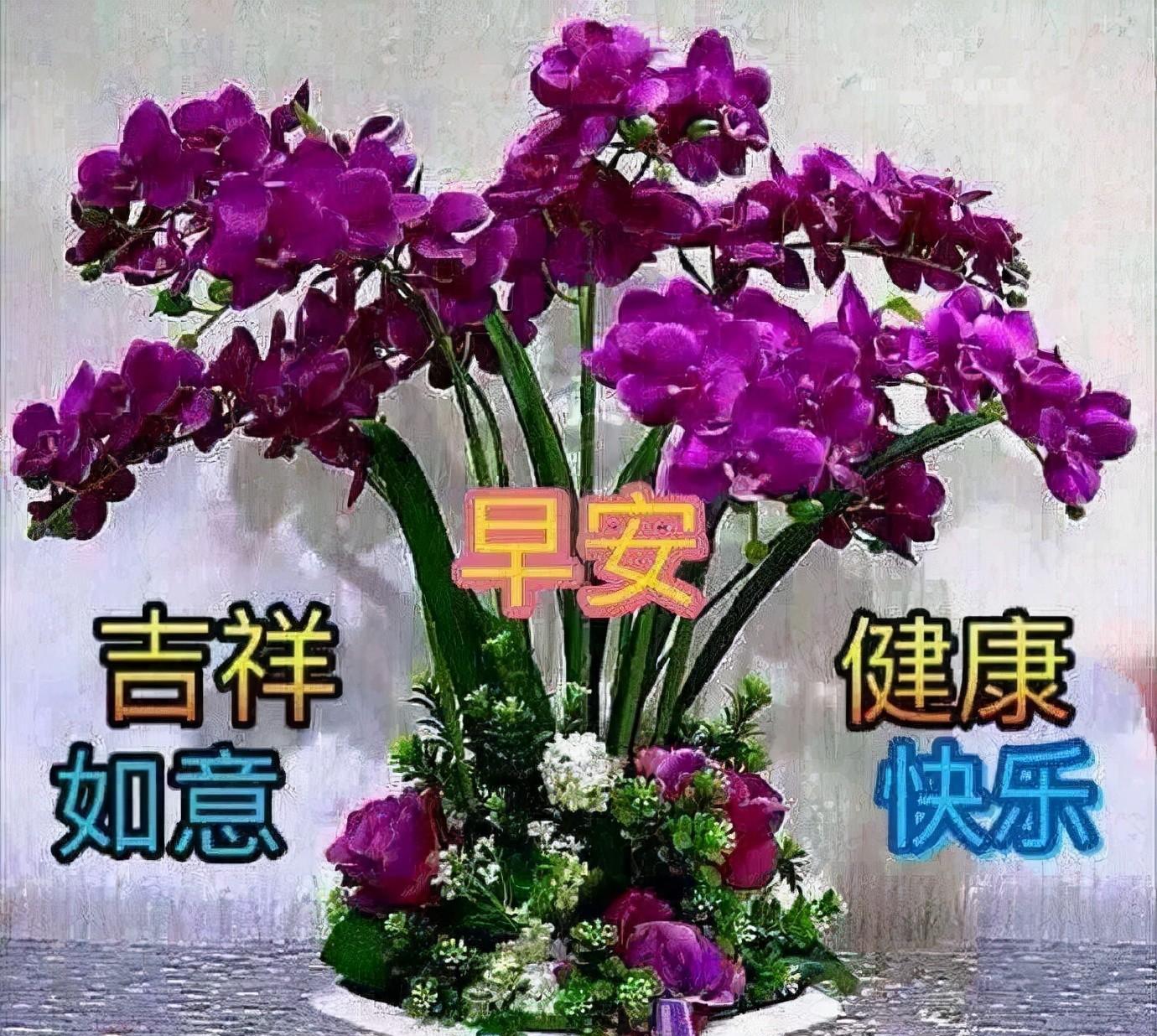 最美早安问候图片带字温馨祝福（清晨最暖心的早安问候语,最美早安带字带祝福图片）